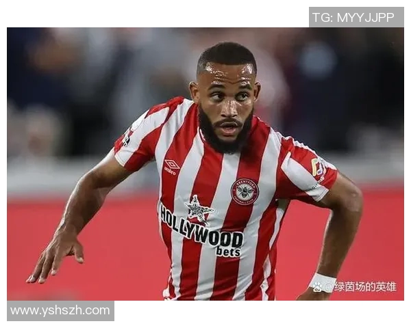 马儿足球明星名字盘点这些球员在绿茵场上闪耀光芒